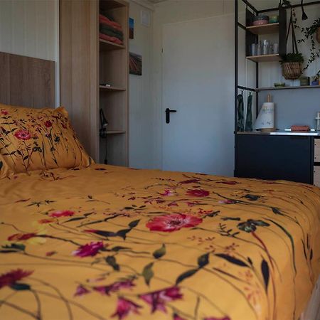 Bloem & Bed Bed and Breakfast 't Zand Exteriör bild