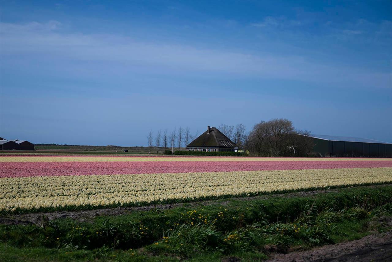 Bloem & Bed Bed and Breakfast 't Zand Exteriör bild