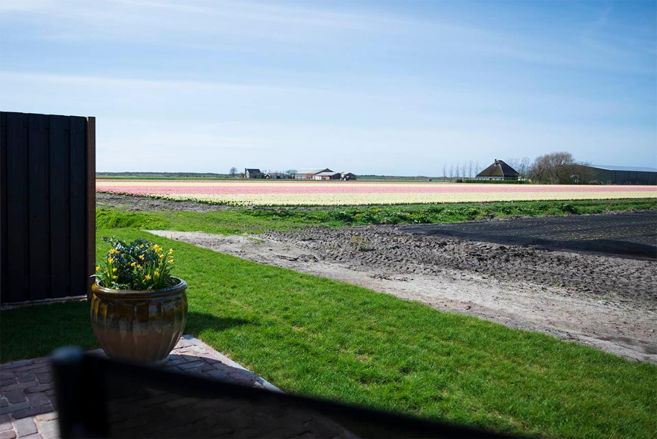 Bloem & Bed Bed and Breakfast 't Zand Exteriör bild