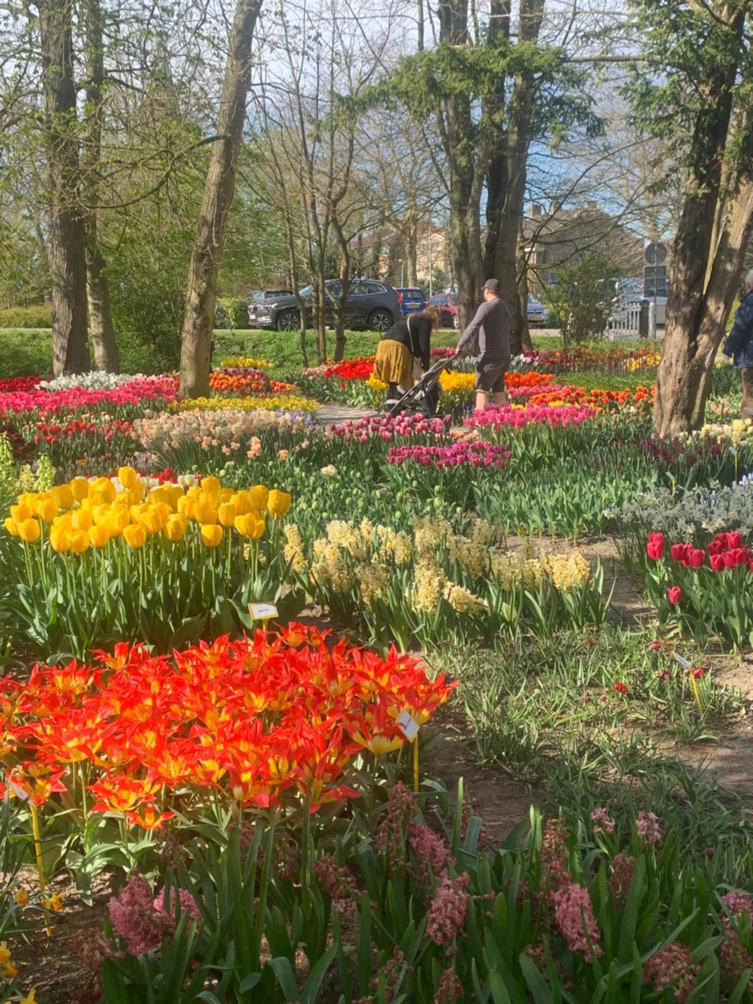 Bloem & Bed Bed and Breakfast 't Zand Exteriör bild